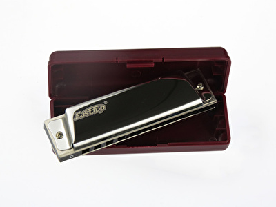 EAST TOP T10 Paslanmaz Çelik Gövde / 10 Delikli / Gümüş-Altın Renk Harmonica